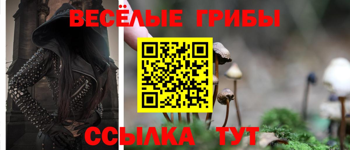 Галлюциногенные грибы Magic Shrooms  Вход с VPN  Псилоцибиновые грибы прущие грибы  Сызрань 